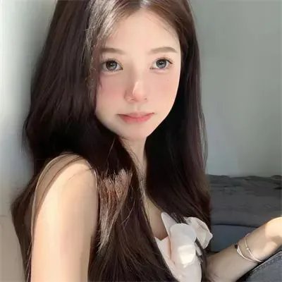 女仆日记2015