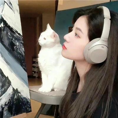 梦之歌