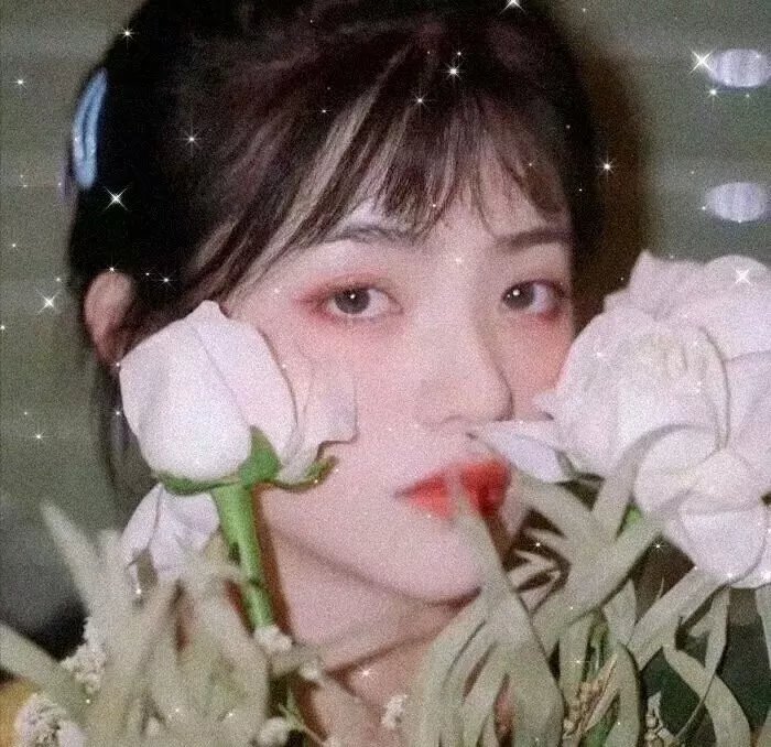 科洛弗悖论